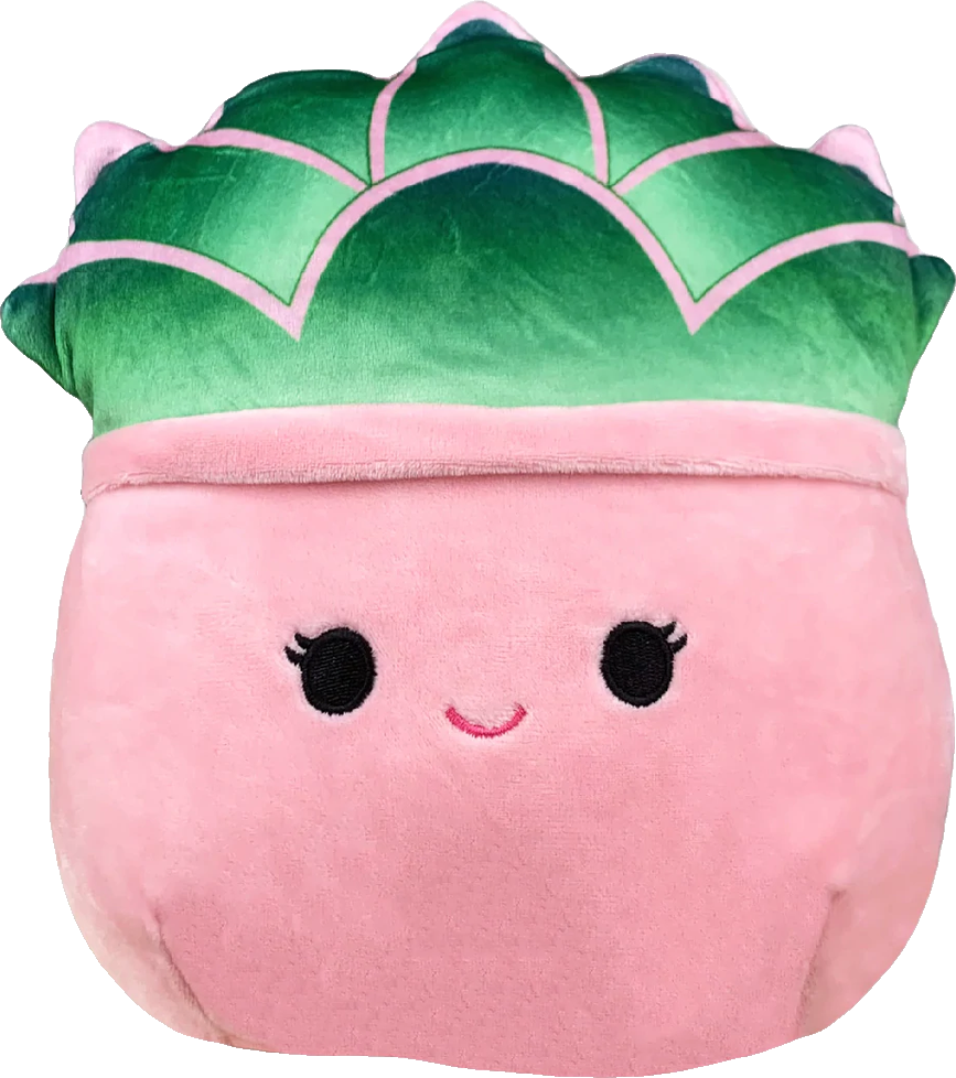 Afiyah the Succulent