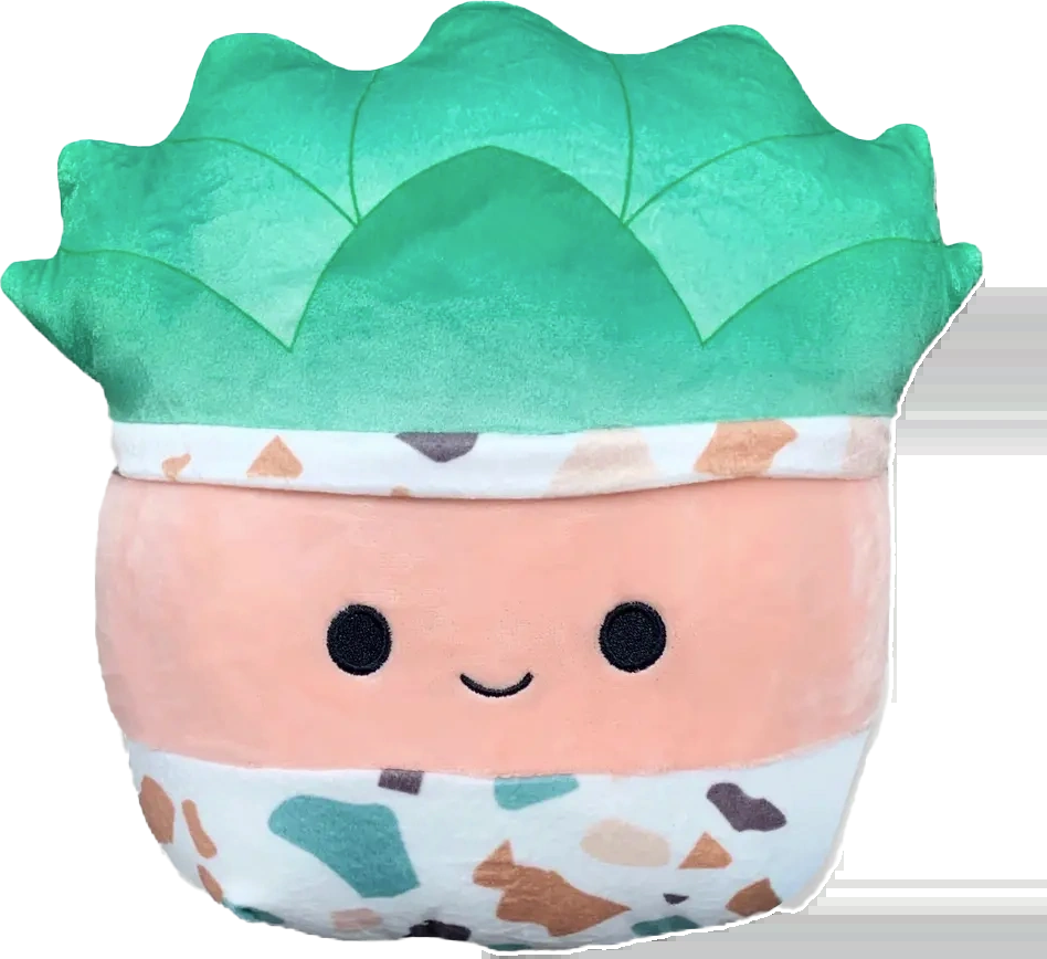 Abena the Succulent