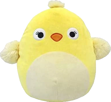 Aimee the Chick