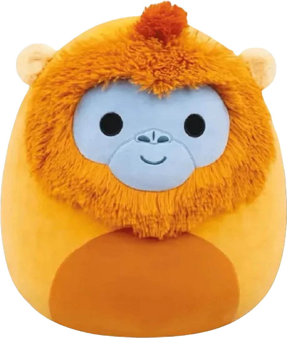 Adonis the Monkey