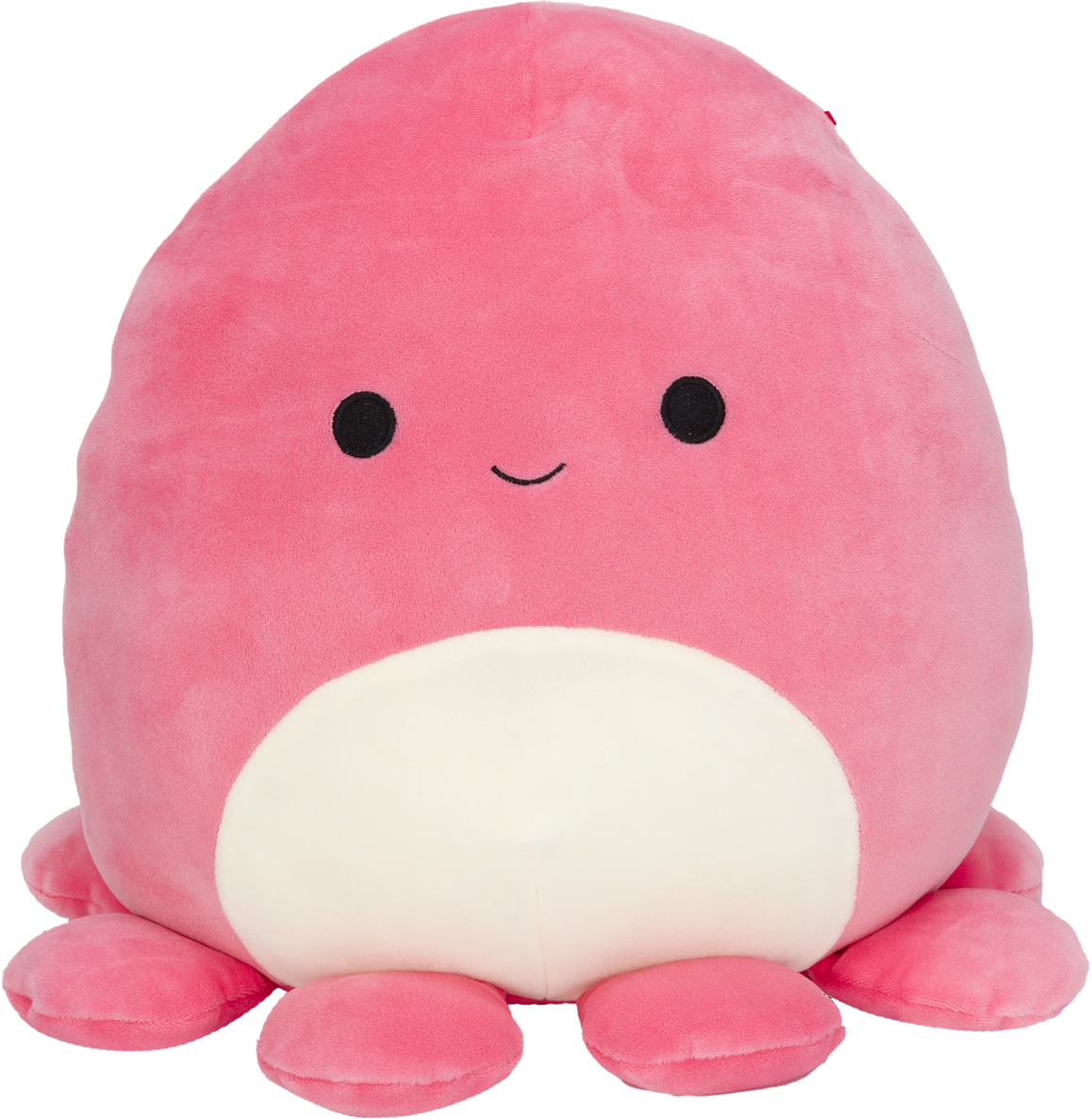 Abby the Octopus