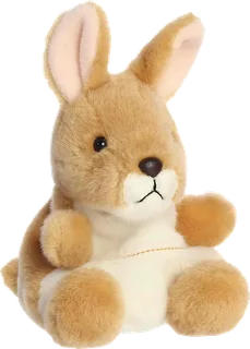 Adelaide Kangaroo