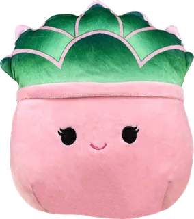 Afiyah the Succulent