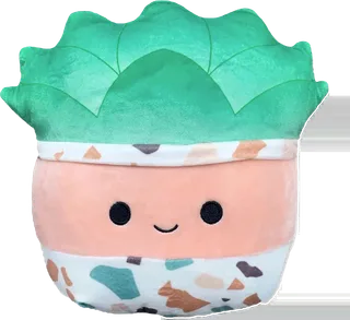 Abena the Succulent